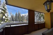Top Madonna di Campiglio