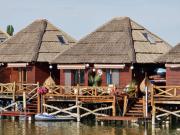 Top Senec