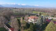 Top Fiano