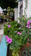 Boutique Bungalow 458