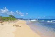 Top Lihue Top Lihue