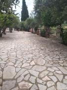 Top Koroni
