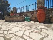 Top Koroni
