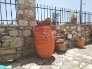 Top Koroni