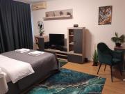 Ummagumma Studio Apartment
