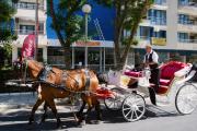 Top Sunny Beach