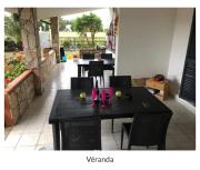 Top Porto Pino