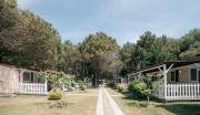 Safari Beach & Camping