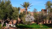 Top Moulay Brahim