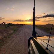 Top Maasai Mara National Reserve