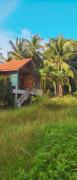 Top Ko Phangan