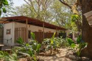 Top Tamarindo