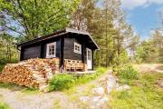 Top Viddviken