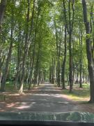Top Houthalen