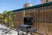 Top South Padre Island