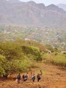 Top Malinalco