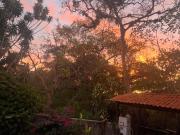 Blue Palm Bed & Breakfast