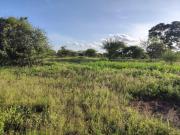 Top Thika