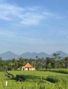 Pondok Dudu Harmony of Nature and Comfort