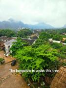 bungalow west water vang vieng