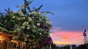 Top Phuket