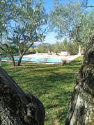 Top Spoleto