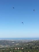 Top Pano Lefkara