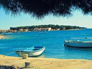 Apartment in Šibenik by Sandy Beaches