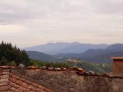 Top Gombitelli