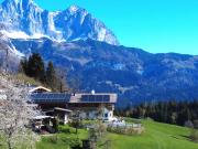 Top Reith bei Kitzbühel