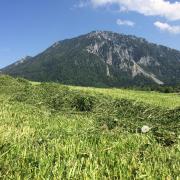Top Ruhpolding