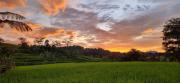 Top Bogor