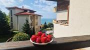 Top Sveti Vlas