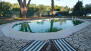 Top Sarzana