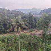 Top Vagamon