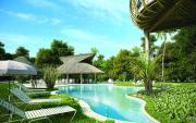 Top Puerto Morelos