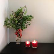 Top Miranda do Douro