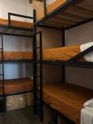 Lemon Tree Hostel