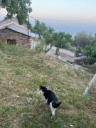 Top Agios Kirykos