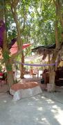TLC THERAPEUTIC LOVE & COMPASSION Ayurveda fan kubo 3 pax 1 minute from the beach