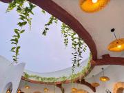 Top Cửa Lô