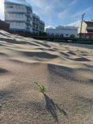 Gesell 2 frente al mar