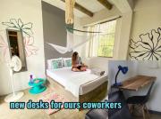 Freesoul Hostel