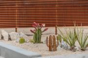 Top Yucca Valley