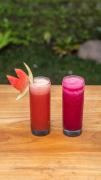 Top Ubud Top Ubud