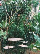 Top Pleiku