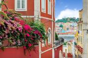 Cozy Loft in Historic Chiado
