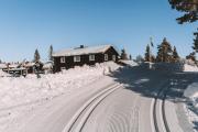 Top Högfjället