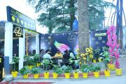 Top Dharamshala