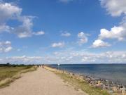 Top Kronsgaard